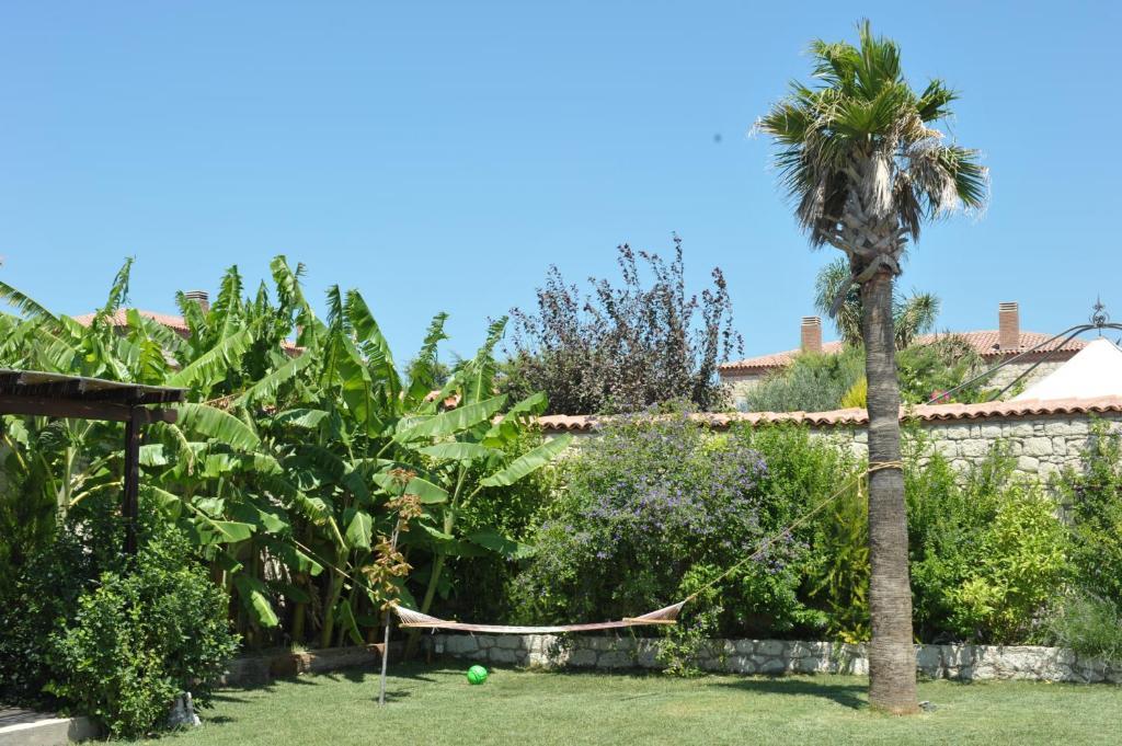 Alacati Koclu Konagi Hotel المظهر الخارجي الصورة